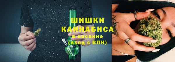 стафф Богородск