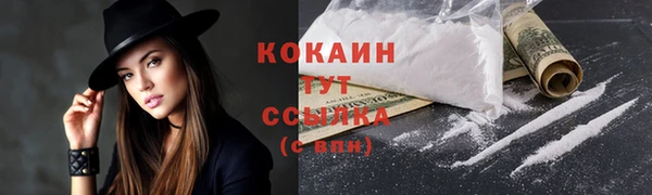 шишки Богородицк