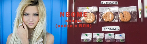 шишки Богородицк