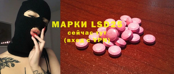 шишки Богородицк