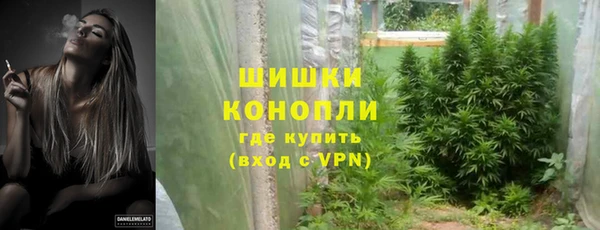 стафф Богородск